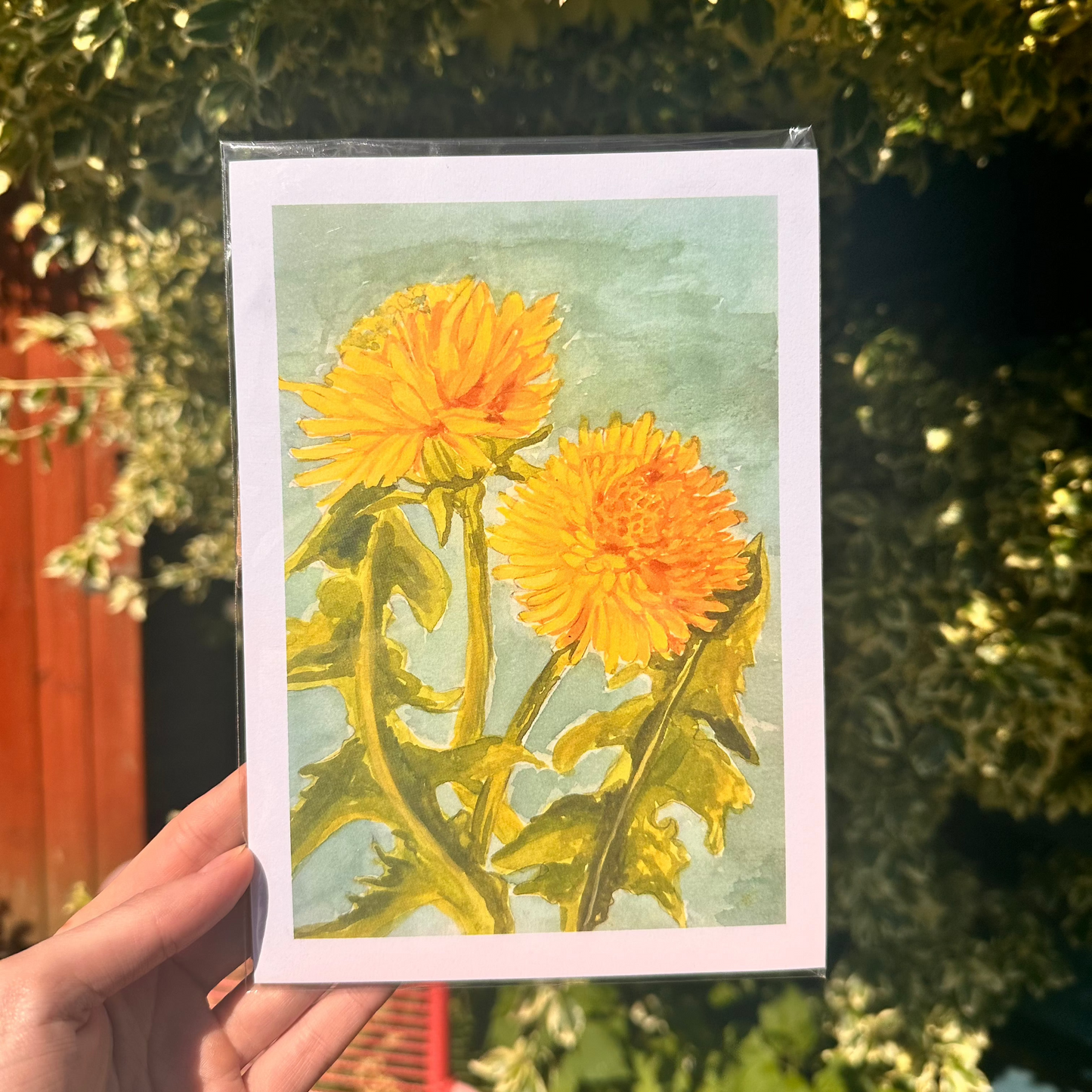 Dandelion Print A5