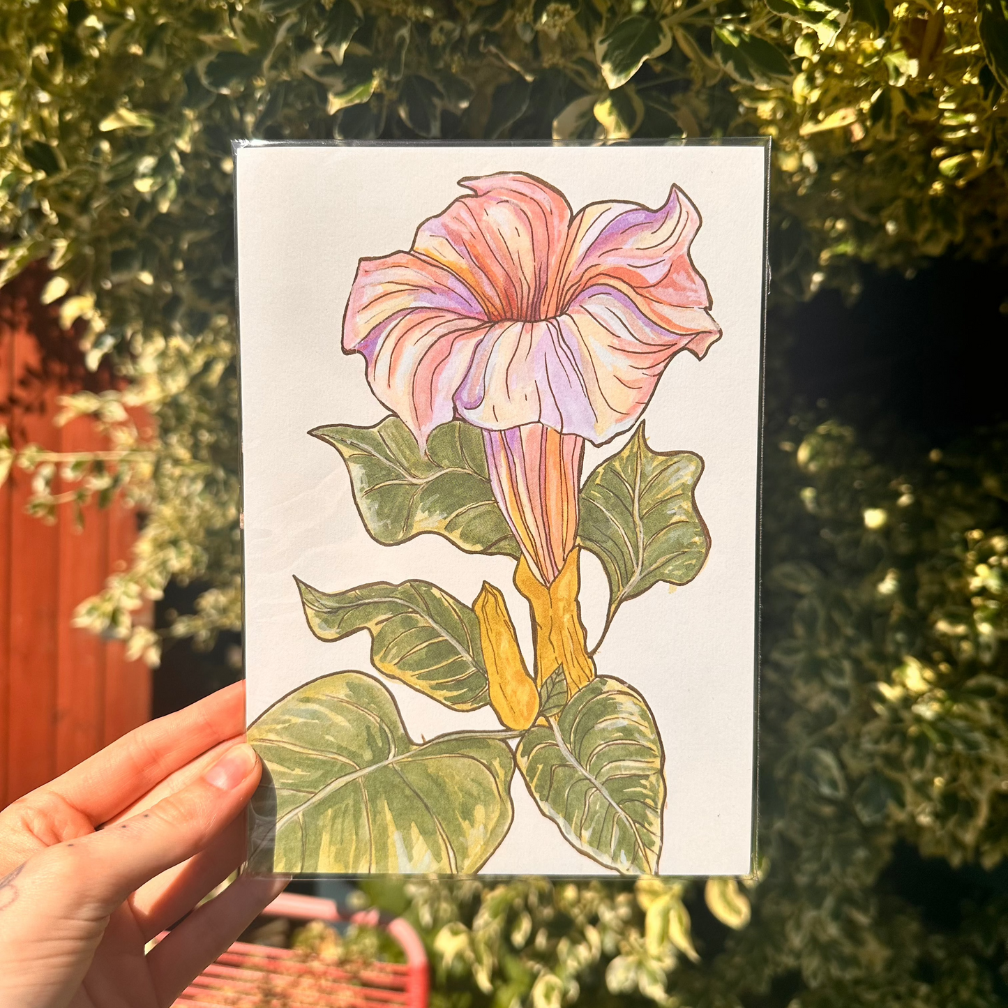 Datura Flower Print A5
