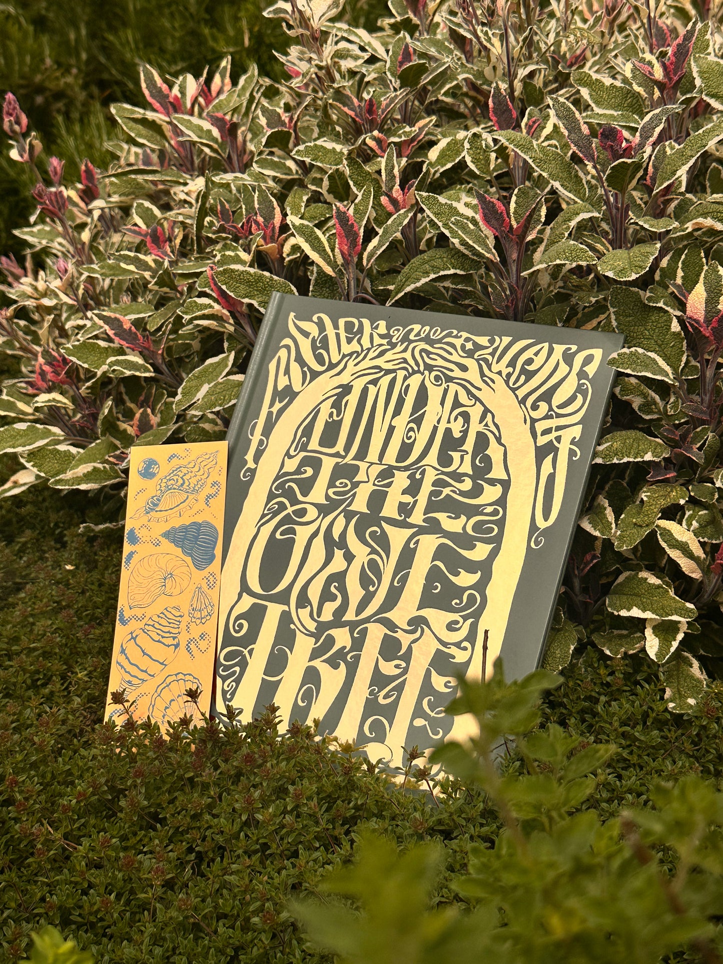 Under The Olive Tree Poetry Book