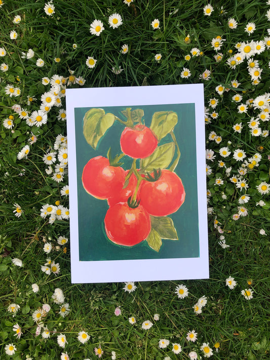 A4 Art Print - Tomatoes